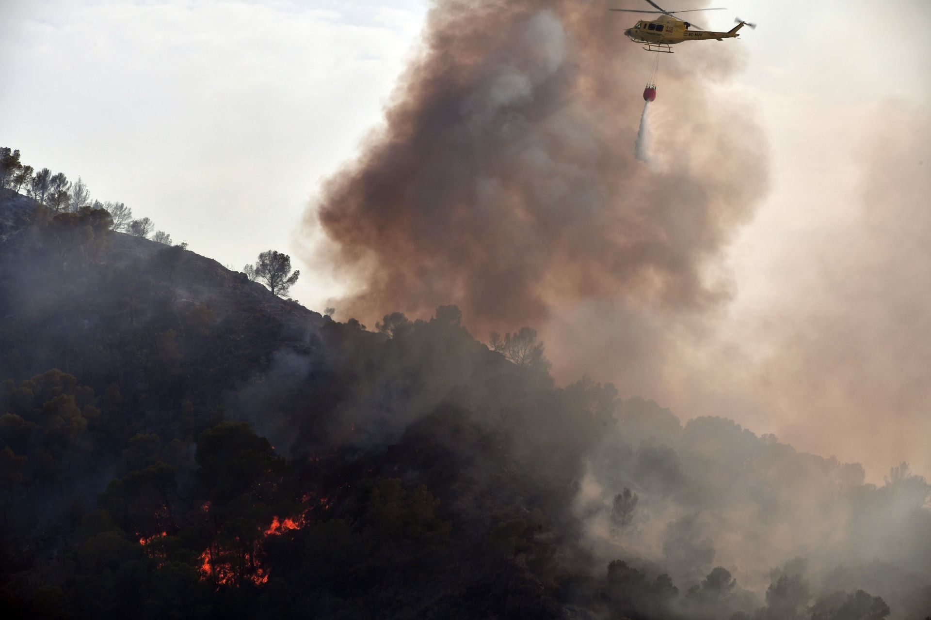 Un incendio forestal en El Valle calcina 13 hectáreas y pone en alerta a los vecinos de Murcia. Las llamas se originaron en una zona muy cercana a viviendas, lo que provocó que algunas personas salieran de casa con lo puesto. No es la primera amenaza de las llamas al pulmón verde de Murcia en los últimos años.