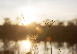 Reconfortantes rayos de sol