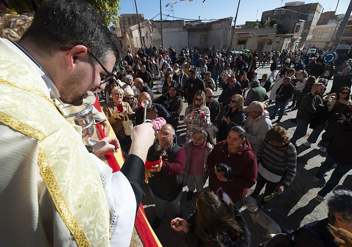 Bendición de animales en la plaza de la iglesia, en las últimas fiestas de San Antón.