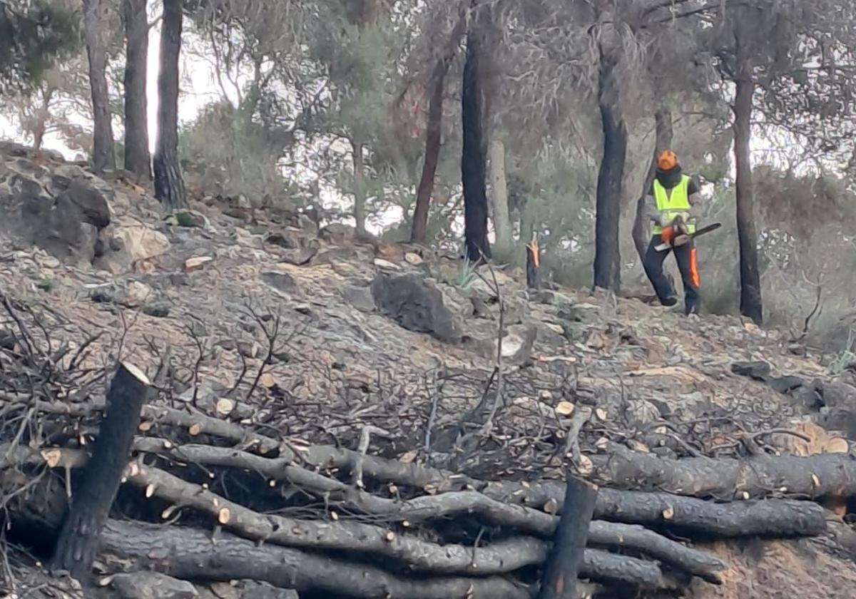 Un operario trabaja en las medidas de recuperación de la zona afectada de El Valle.