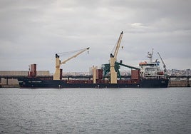 El buque de bandera noruega 'Sea Discovery' amarró la semana pasada en el dique de Poniente.