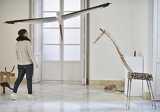 Un zoo. La gaviota, la tortuga, la jirafa... comparten el espacio.