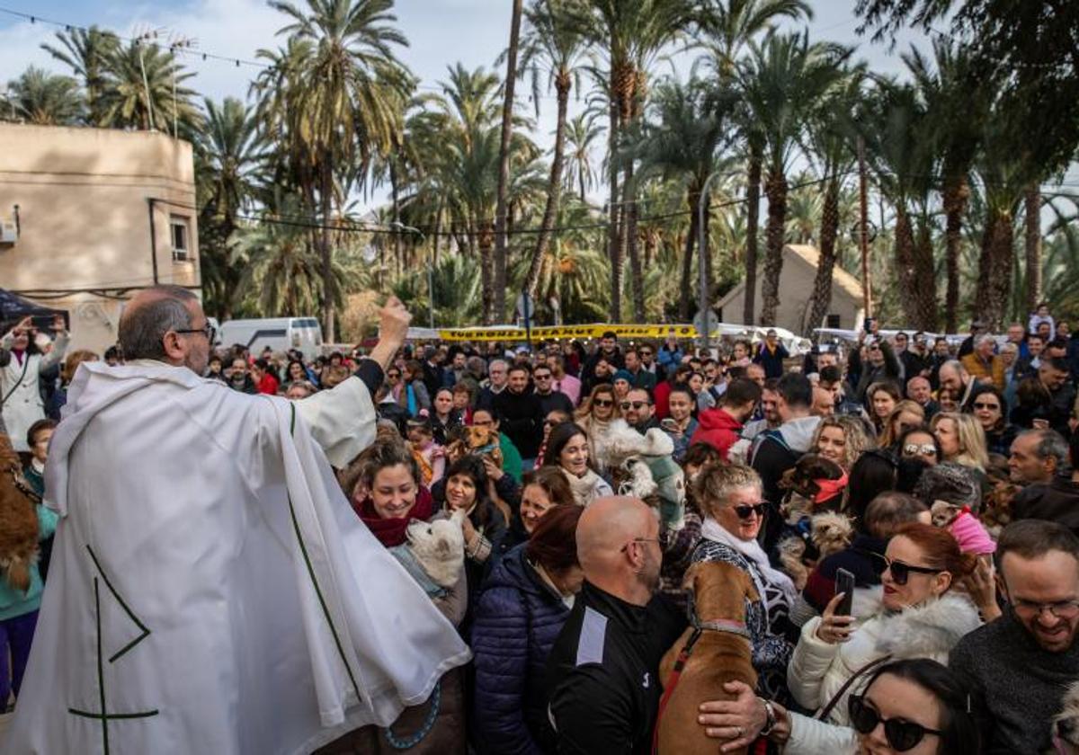 Bendición de animales durante la pasada edición de las fiestas de San Antón.