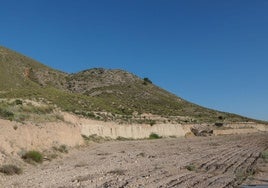 Paraje de la pedanía de Doña Inés donde está previsto construir una planta de biometano.