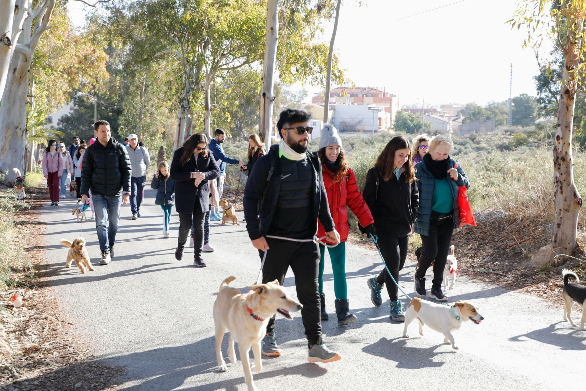 Ruta canina al castillo de Lorca por San Antón