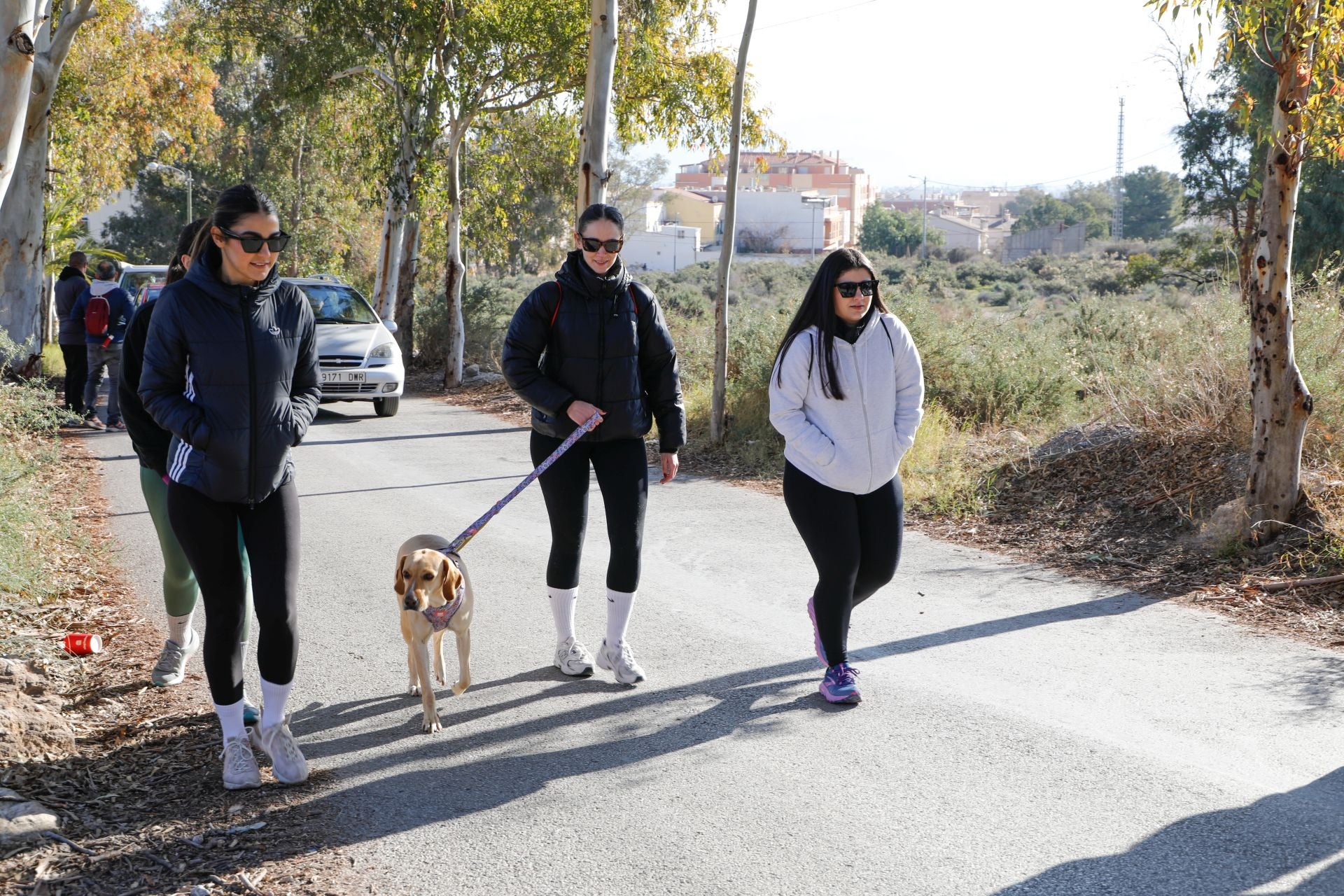 Ruta canina al castillo de Lorca por San Antón