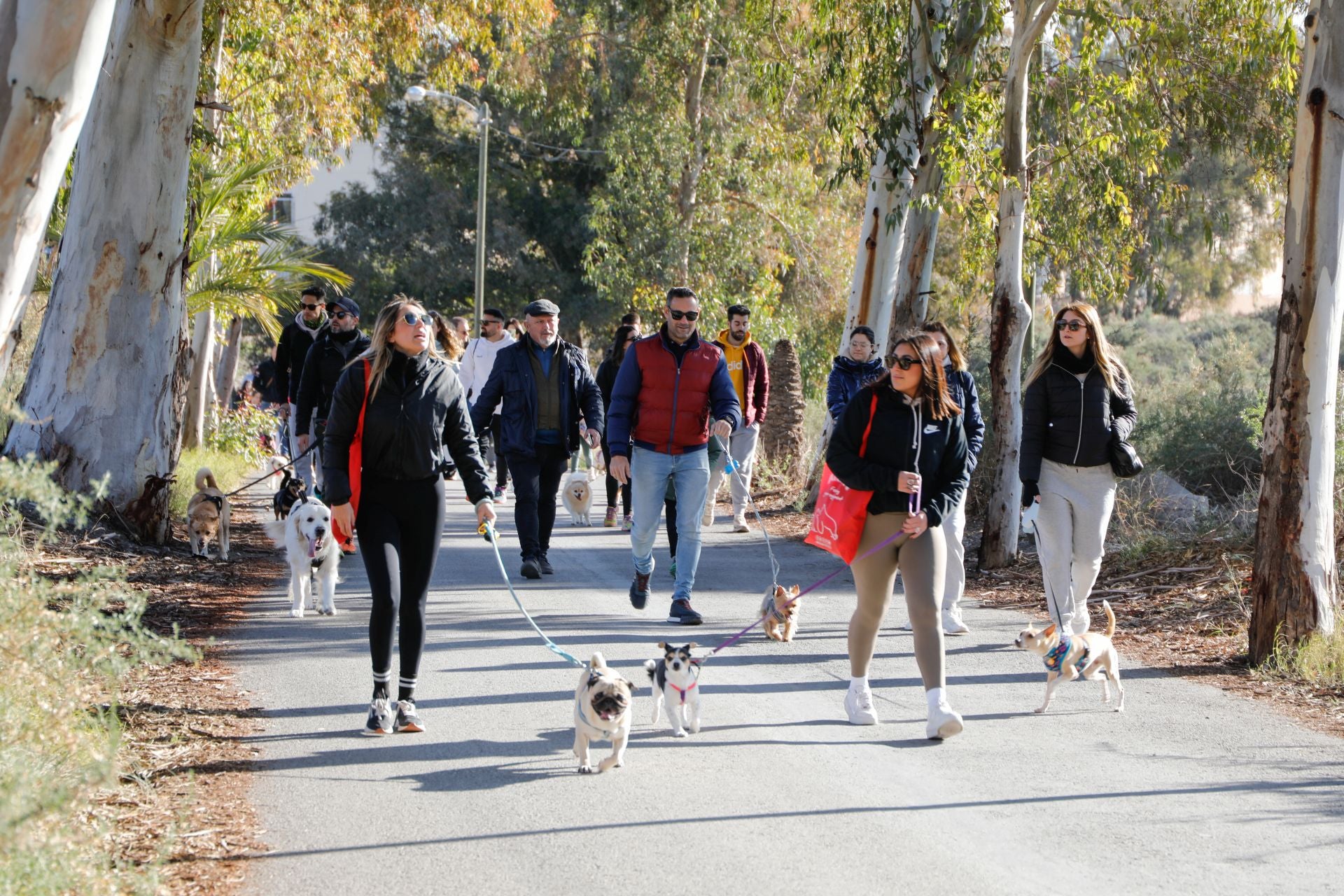 Ruta canina al castillo de Lorca por San Antón