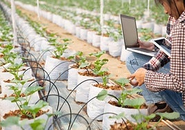 El sector agroalimentario analiza los retos y oportunidades de la digitalización y la innovación