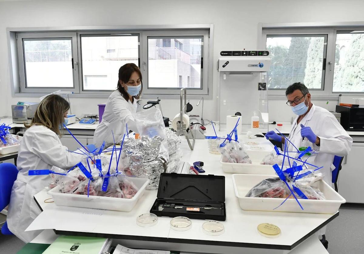 Tres médicos trabajan en un laboratorio de la Región de Murcia, en una imagen de archivo.