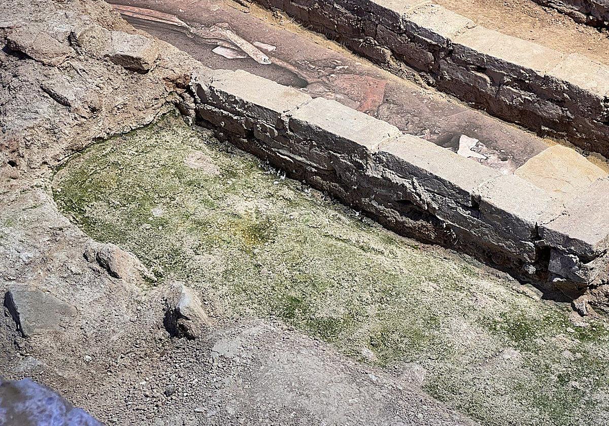 Humedades y musgo en una de las tumbas medievales del Centro de Interpretación de Madina Mursiya.