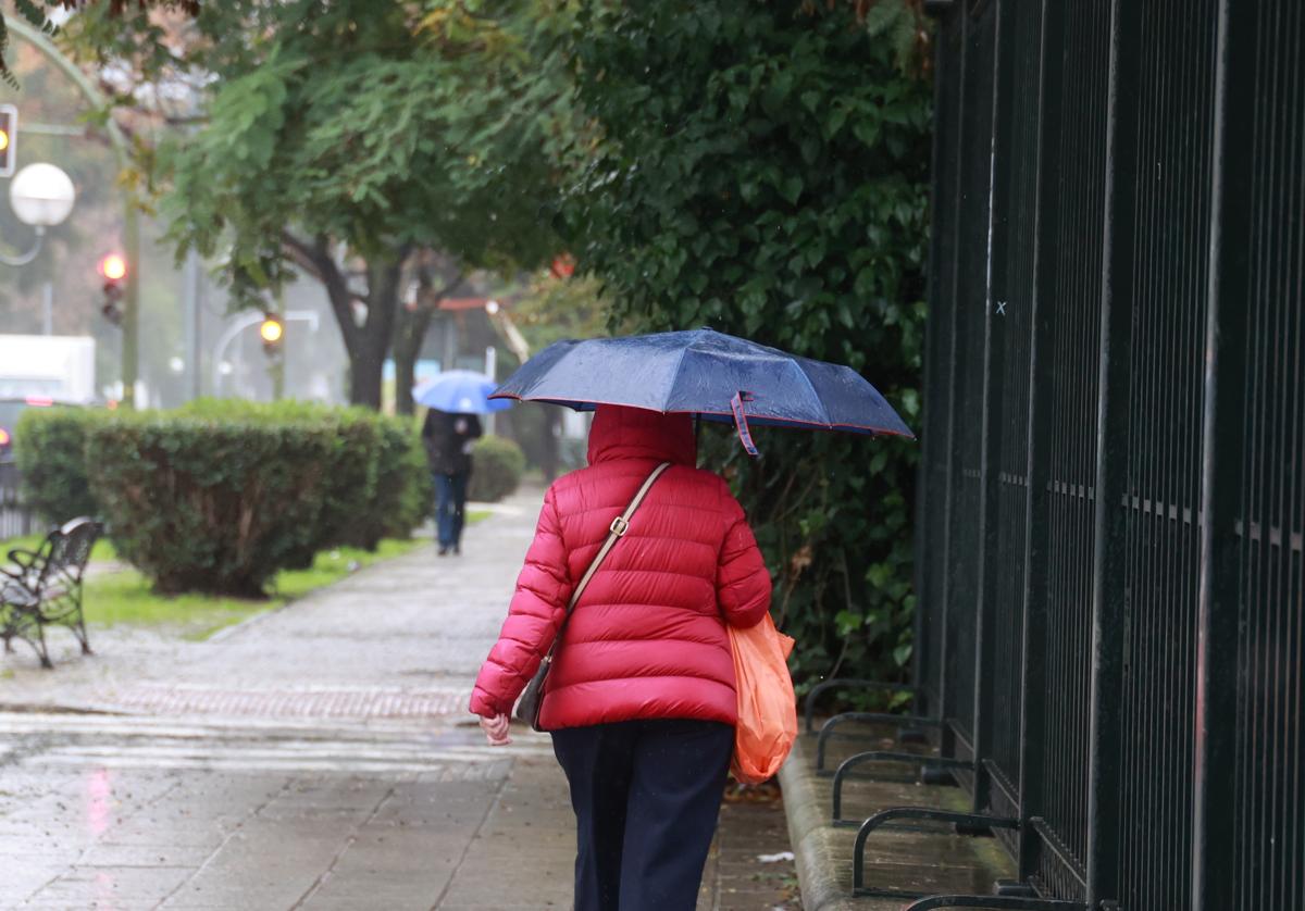 Lluvia en Andalucía por la llegada de la borrasca 'Herminia'.