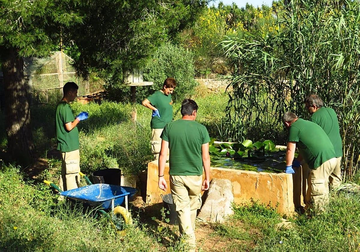 Alumnos en anteriores formaciones de la Fundación Sierra Minera.