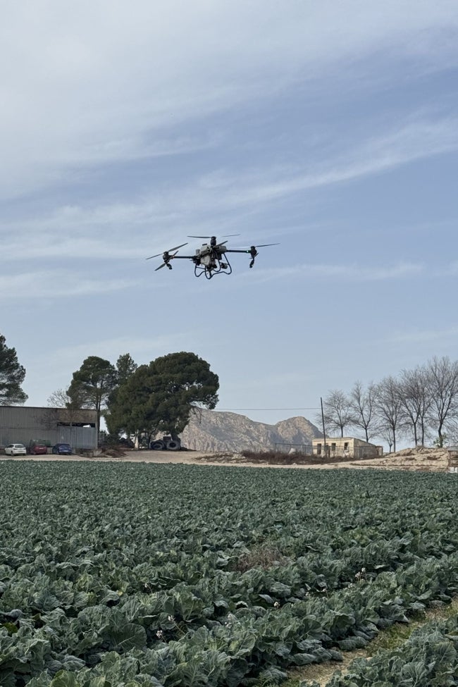 Demostración en vivo del DJI Agras T50.