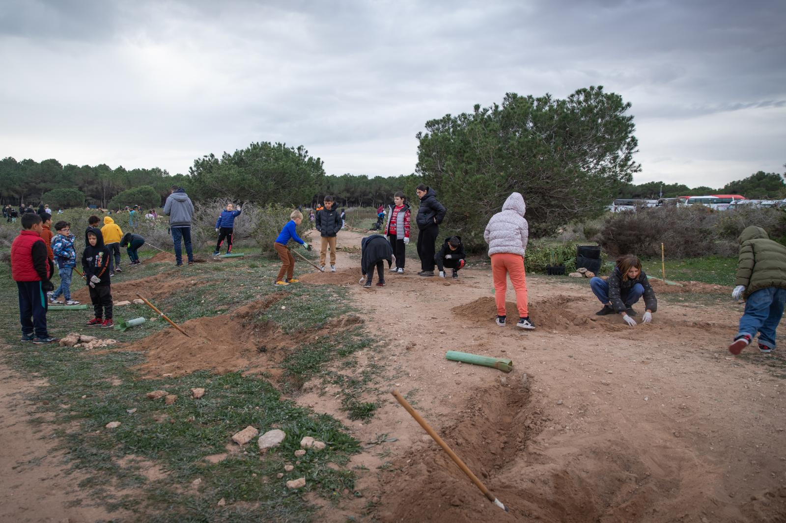 Las imágenes de la jornada de plantación por el Día del Árbol en Torrevieja