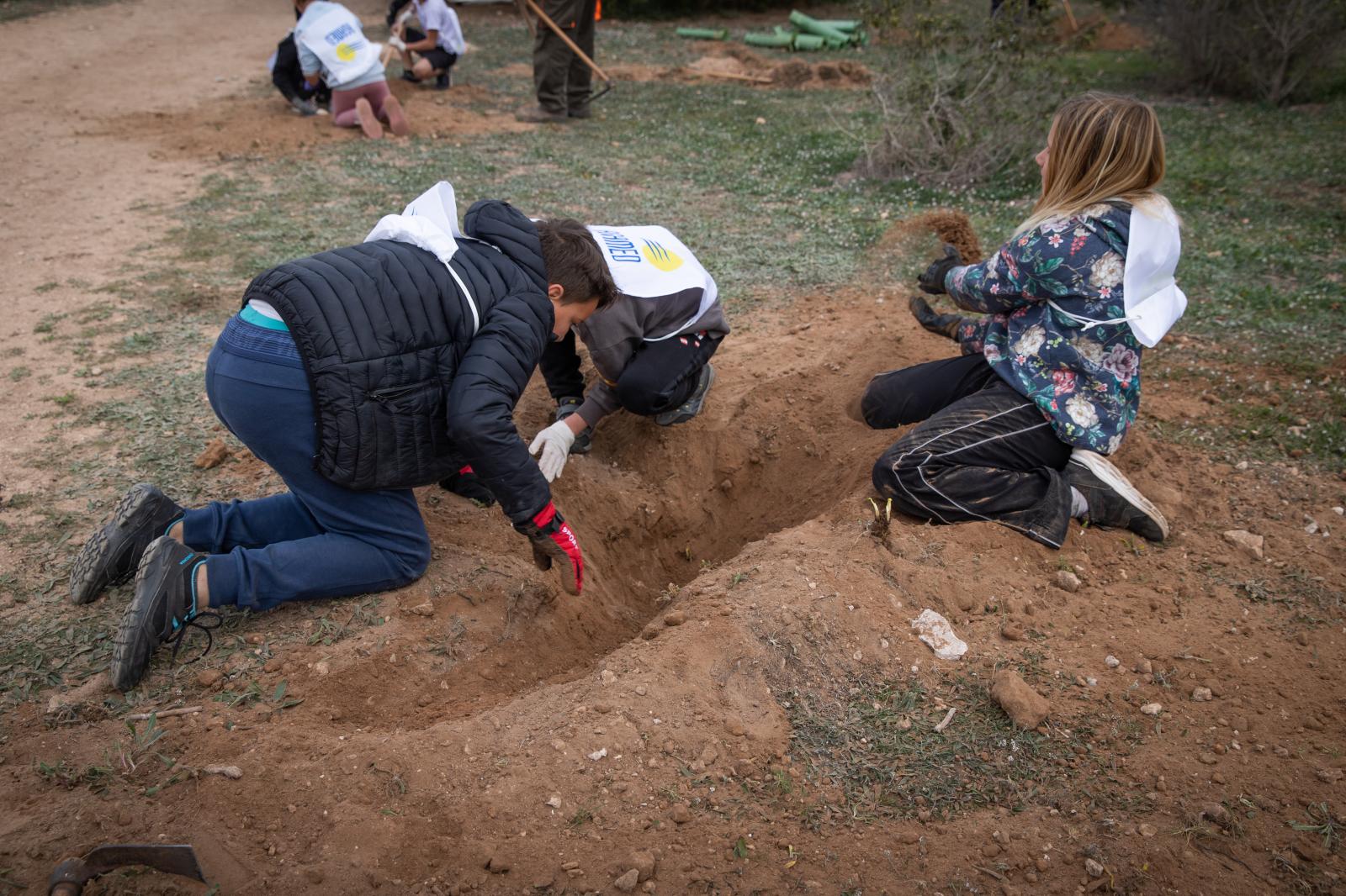 Las imágenes de la jornada de plantación por el Día del Árbol en Torrevieja