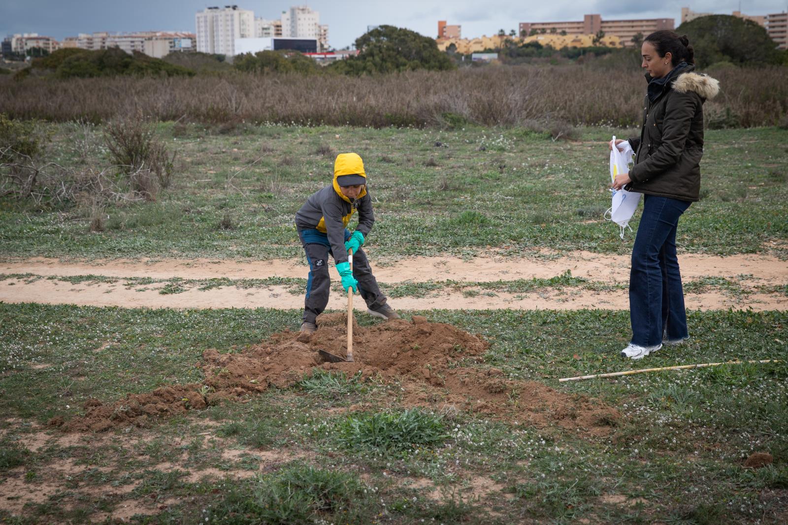 Las imágenes de la jornada de plantación por el Día del Árbol en Torrevieja