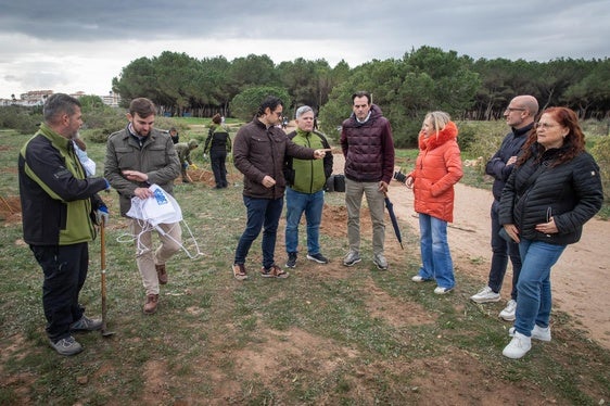 Las imágenes de la jornada de plantación por el Día del Árbol en Torrevieja