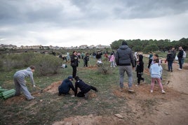 Un grupo de escolares planta árboles junto a la laguna de La Mata.