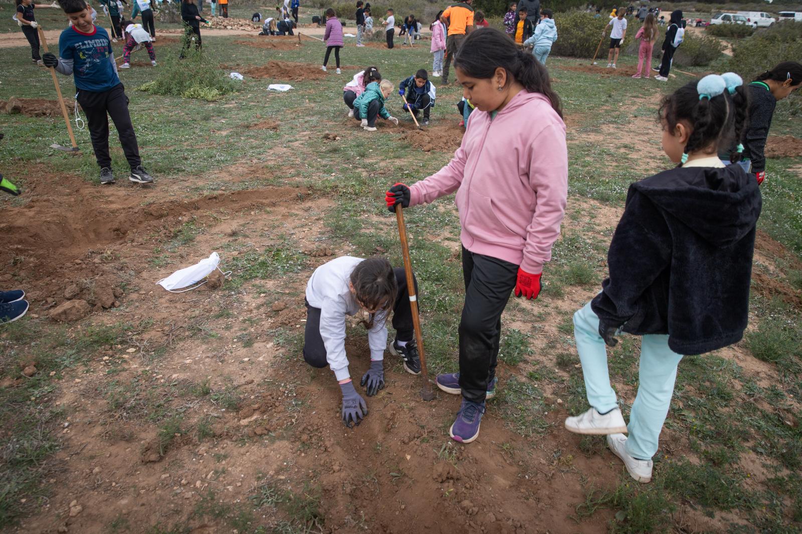 Las imágenes de la jornada de plantación por el Día del Árbol en Torrevieja