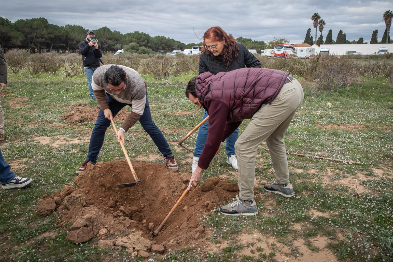 Las imágenes de la jornada de plantación por el Día del Árbol en Torrevieja