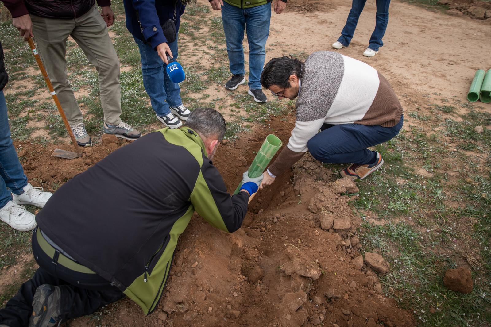 Las imágenes de la jornada de plantación por el Día del Árbol en Torrevieja