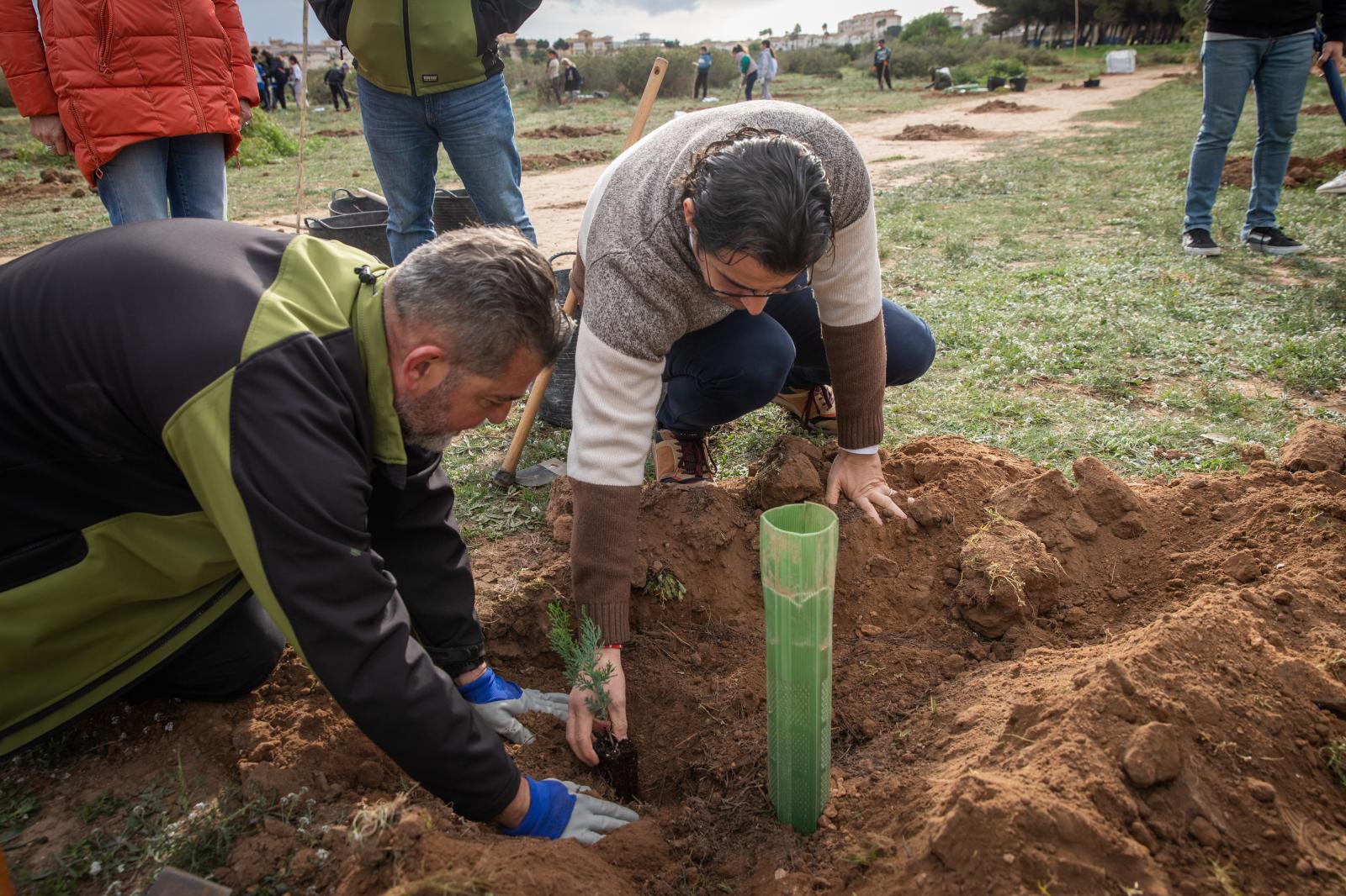 Las imágenes de la jornada de plantación por el Día del Árbol en Torrevieja