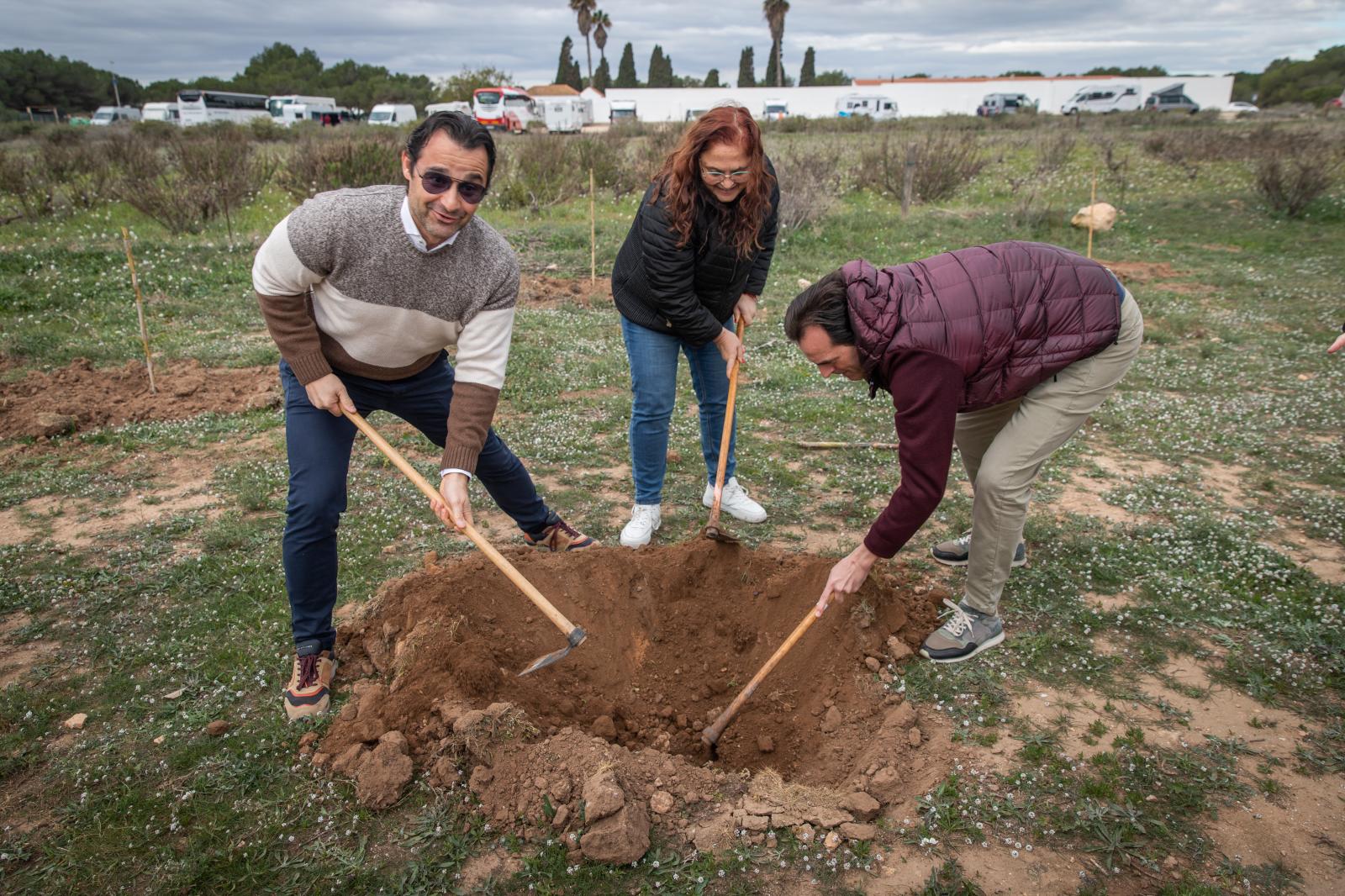 Las imágenes de la jornada de plantación por el Día del Árbol en Torrevieja