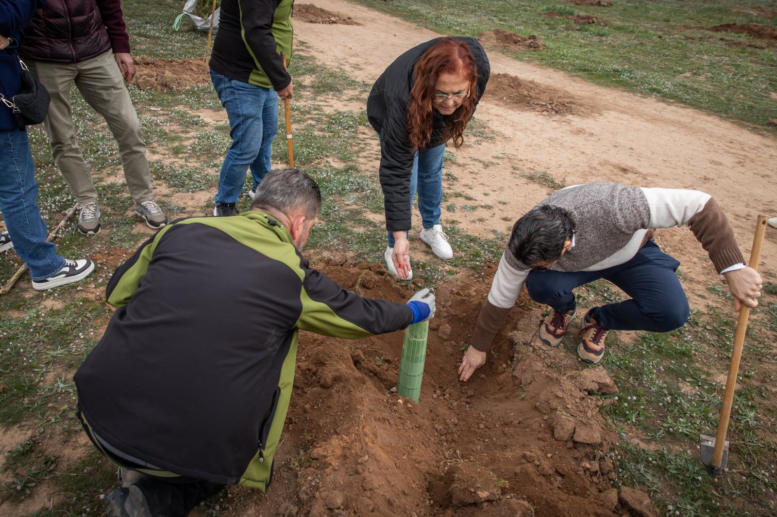Las imágenes de la jornada de plantación por el Día del Árbol en Torrevieja