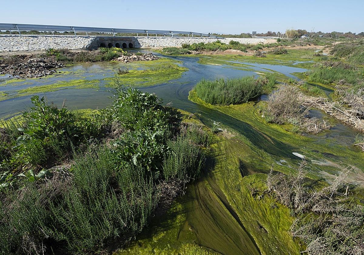 Humedal del Carmolí en una imagen de archivo.