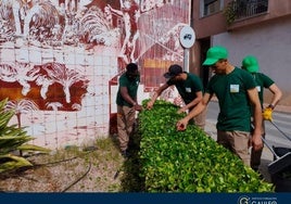 'Actividades Auxiliares en Viveros, Jardines y Centros de Jardinería'.