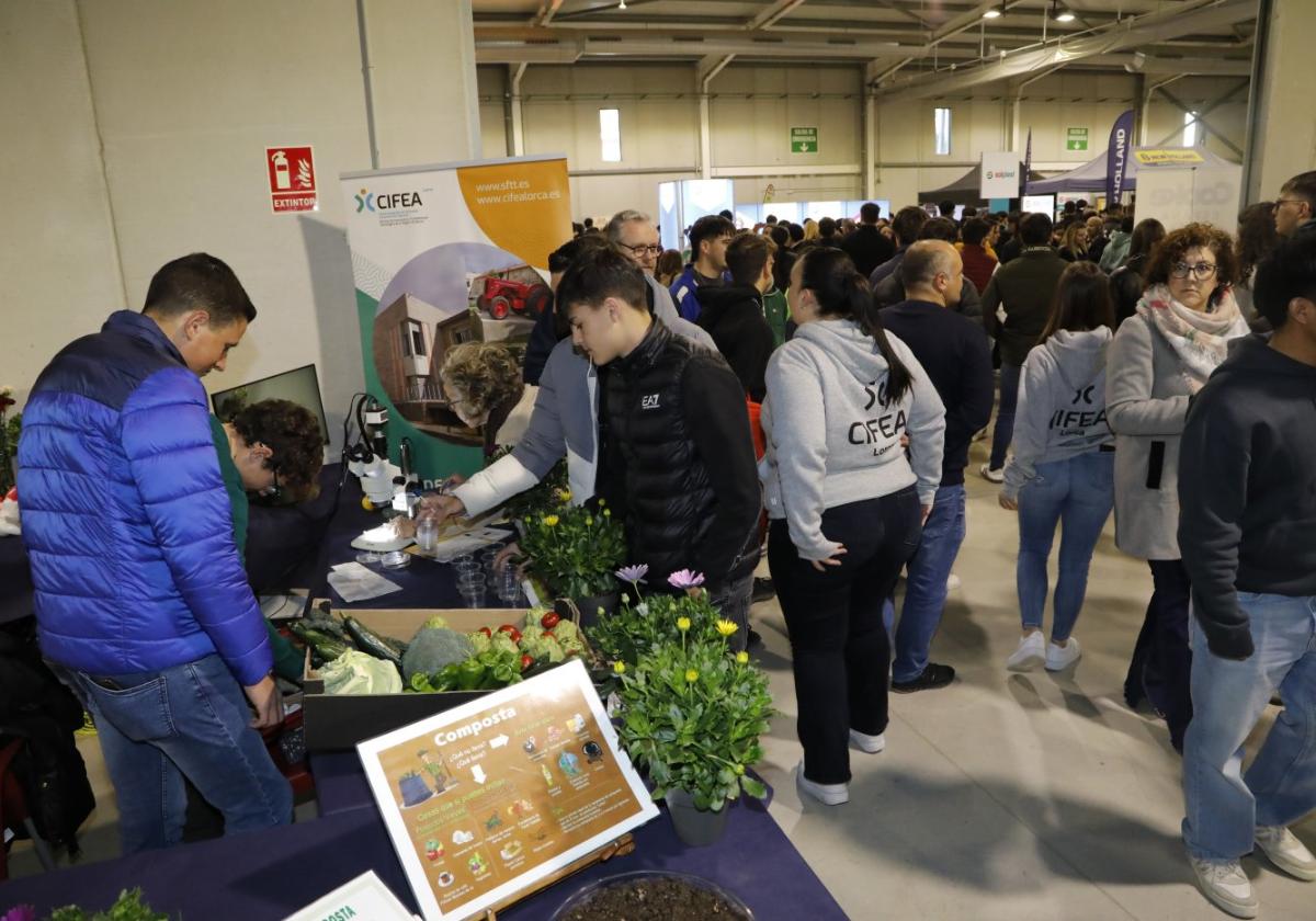 Estudiantes en la Feria de Empleo y Formación Profesional, que se celebró ayer en Ifelor.