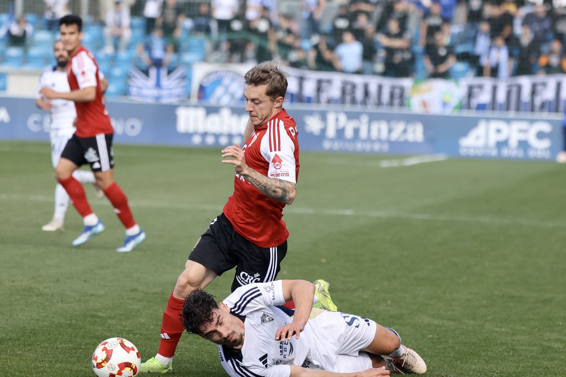 La victoria del Real Murcia frente al Marbella, en imágenes