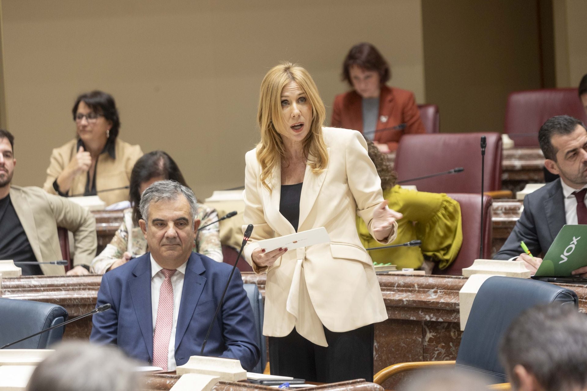 El Pleno de la Asamblea Regional de este viernes, en imágenes