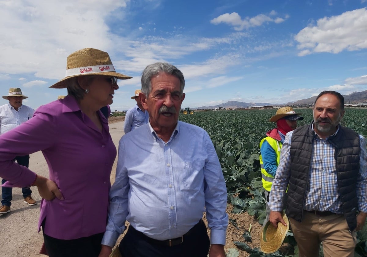 Miguel Ángel Revilla en una plantación de brócoli durante su visita a la pedanía de La Hoya.