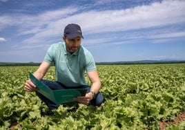 Un técnico de Caudal inspecciona la eficiencia hídrica de un cultivo.