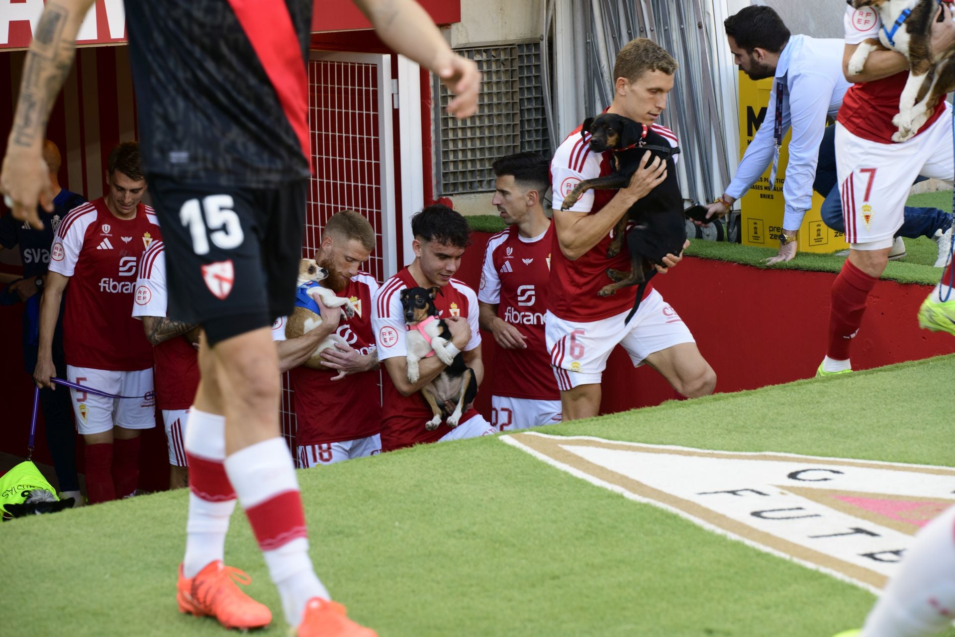 La derrota del Real Murcia frente al Sevilla Atlético, en imágenes