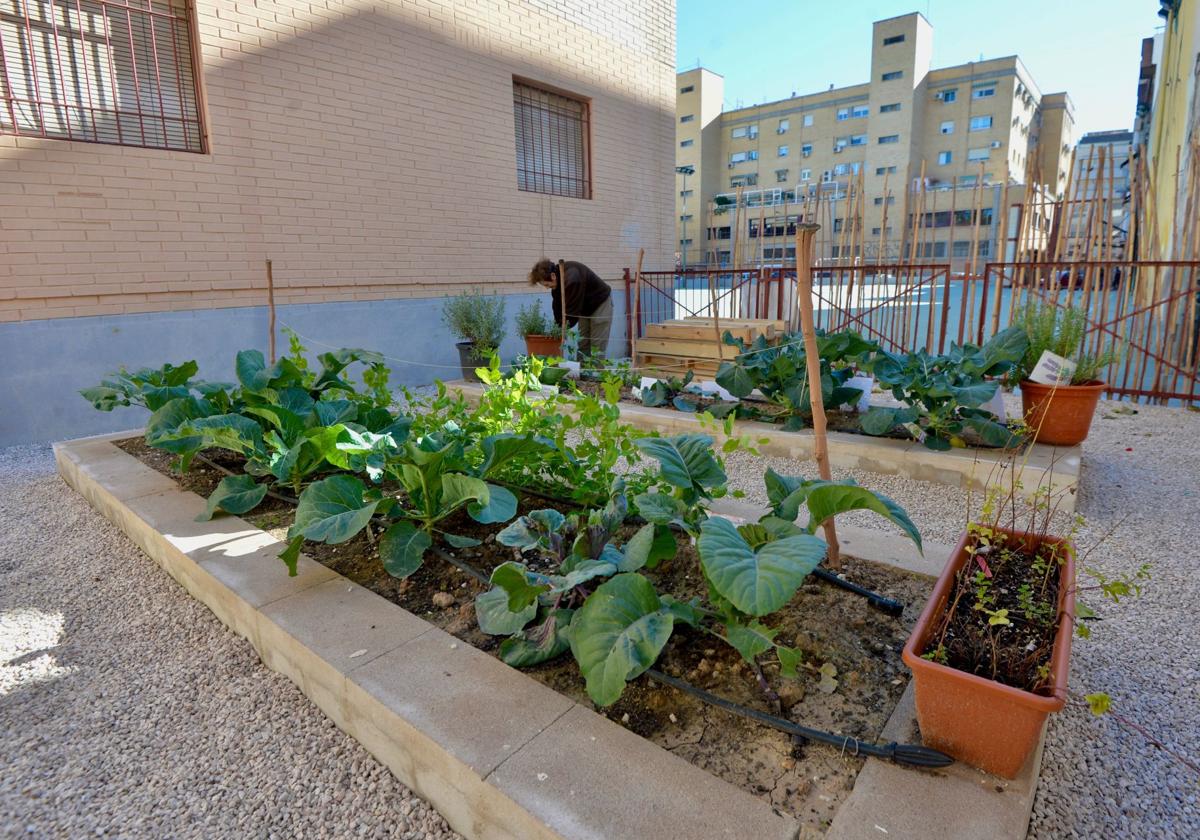 Imagen de archivo de un huerto en un colegio de Murcia.