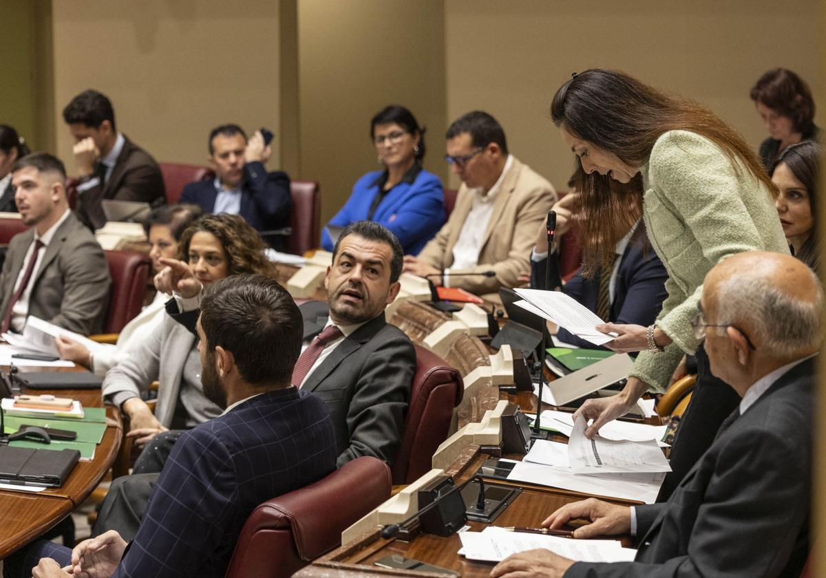 El Pleno de la Asamblea Regional de este viernes, en imágenes