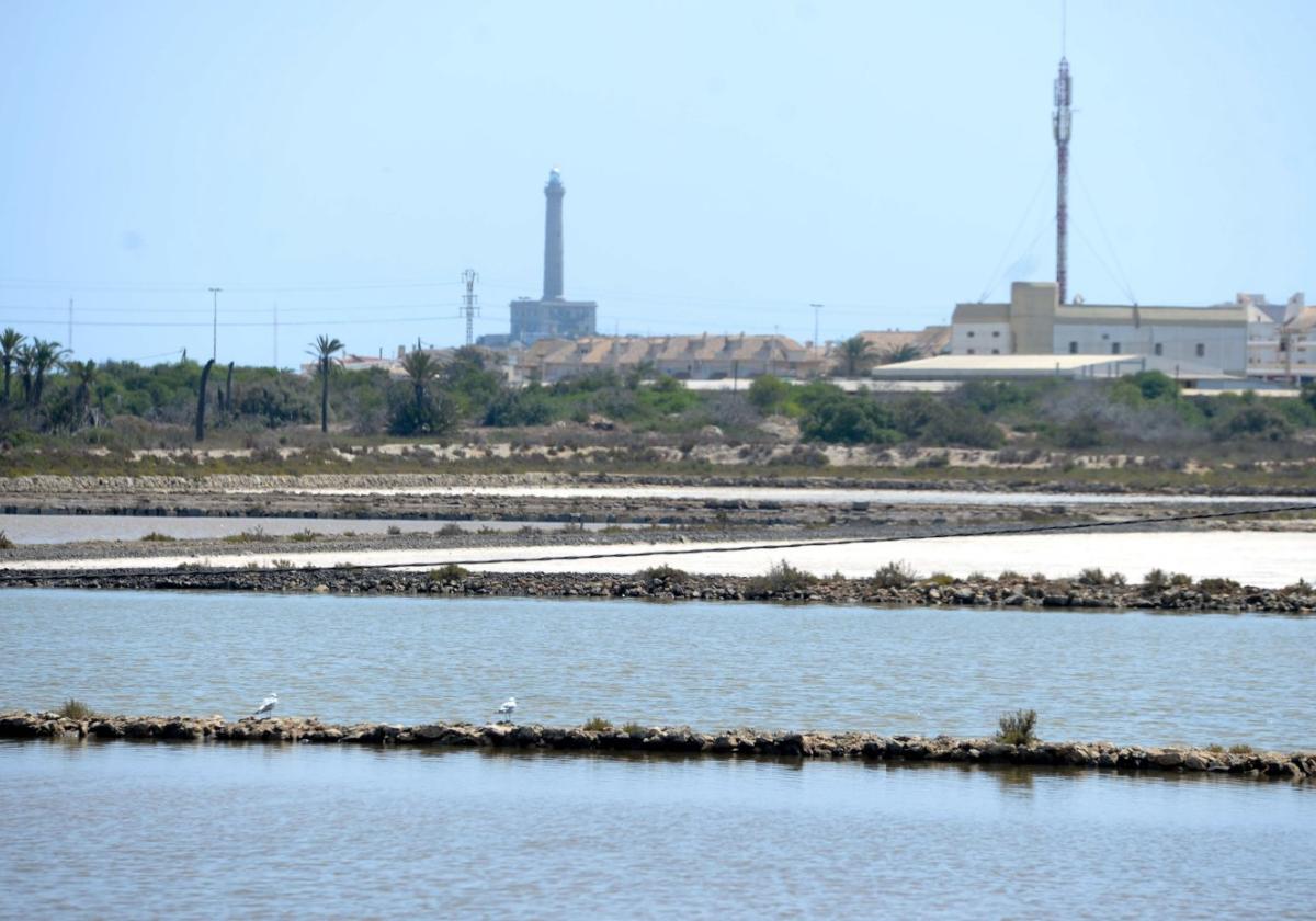 El proyecto de la Comunidad para expropiar y restaurar las salinas de Marchamalo sufre otro retraso