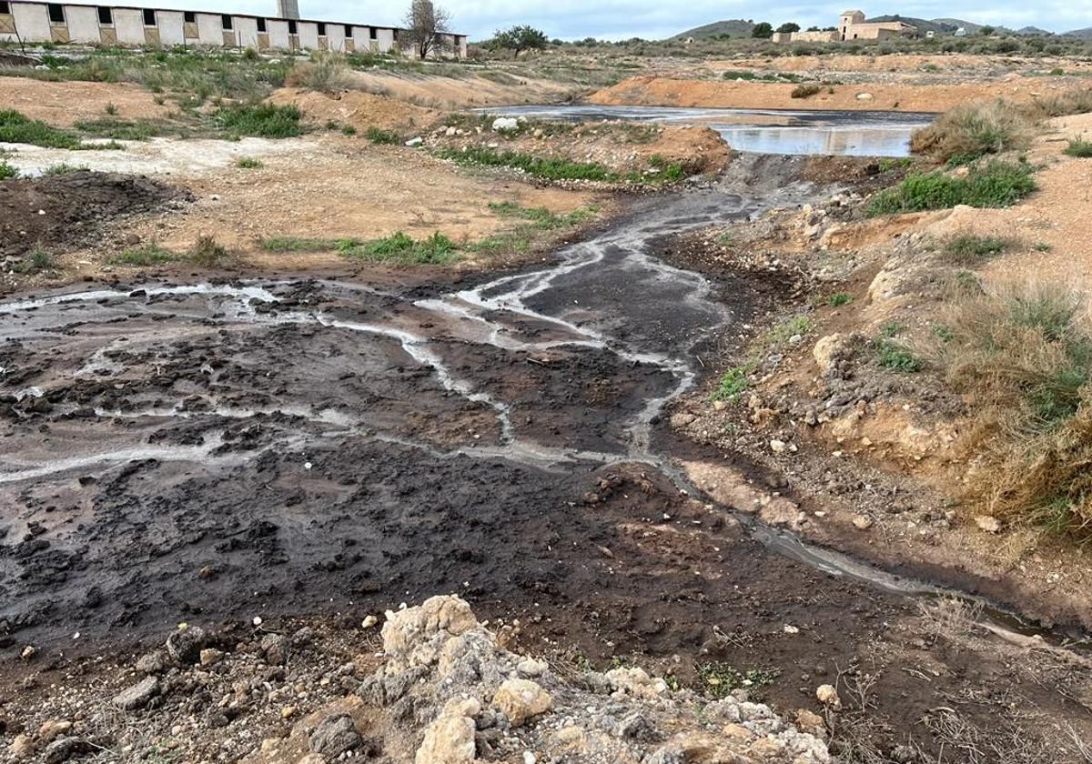 Vertido de purines de una granja porcina ubicada en el Campo de Cartagena, en una imagen de archivo.