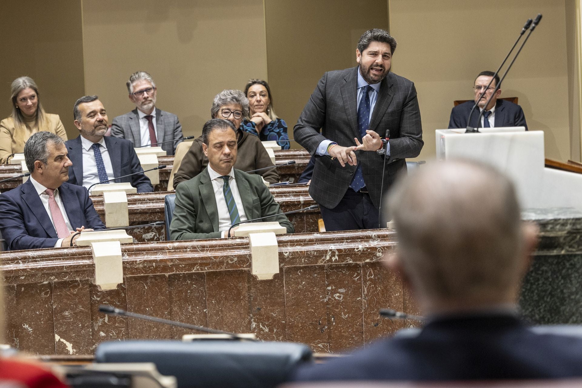 El Pleno de la Asamblea, en imágenes