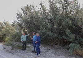 El alcalde y los concejales de Emergencias y Pedanías, en el cauce del río repleto de maleza.