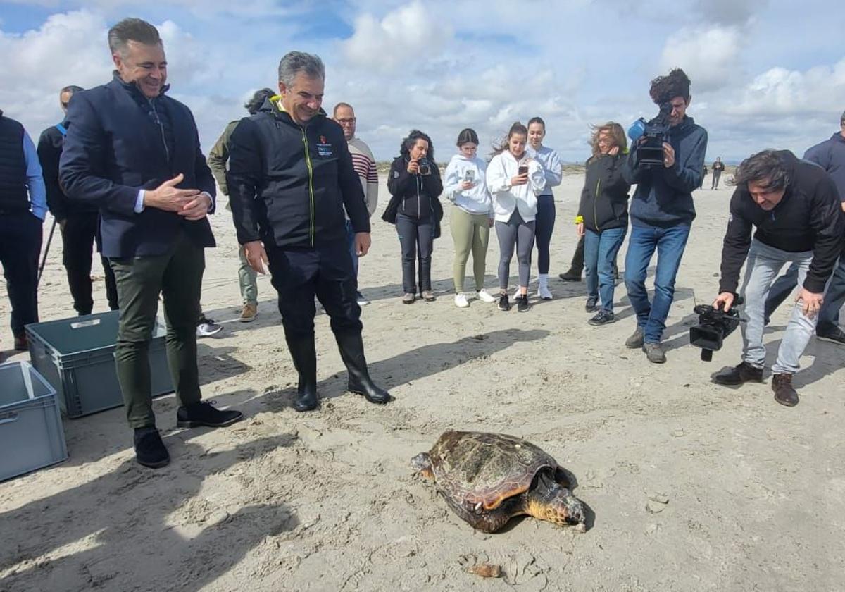 El consejero de Medio Ambiente, Juan María Vázquez, junto con el alcalde de San Pedro del Pinatar, libera uno de los ejemplares.