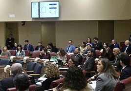 En imágenes, el Pleno de la Asamblea