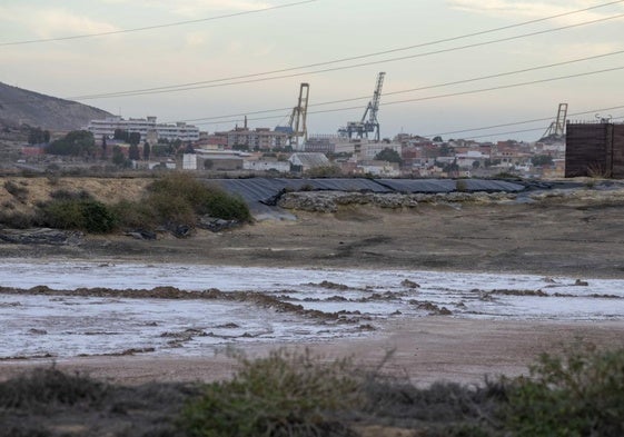 Terrenos contaminados de Zinsa, en el Hondón, con las grúas del puerto en el horizonte.