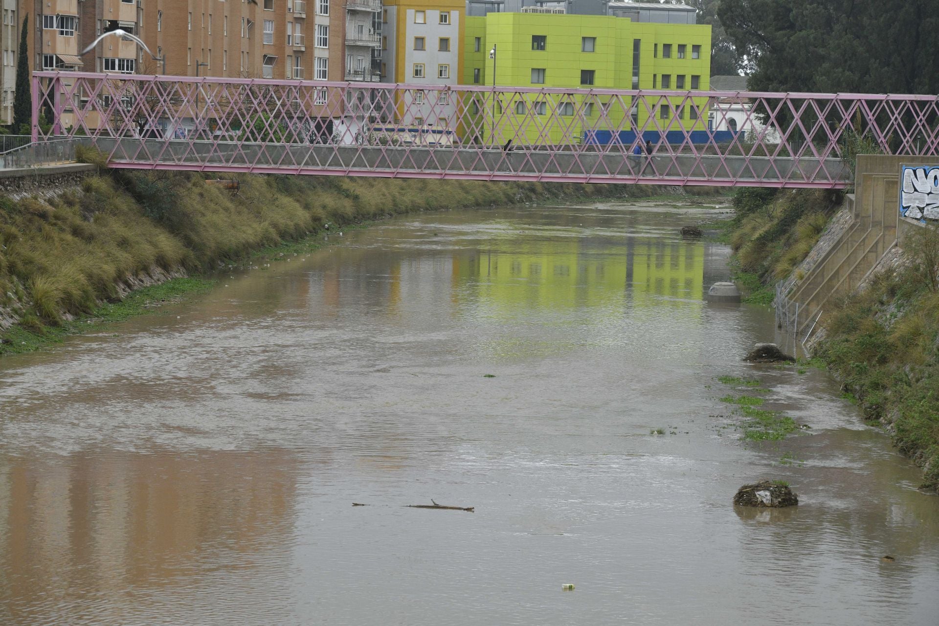 Los efectos del temporal de lluvia en la Región de Murcia, en imágenes