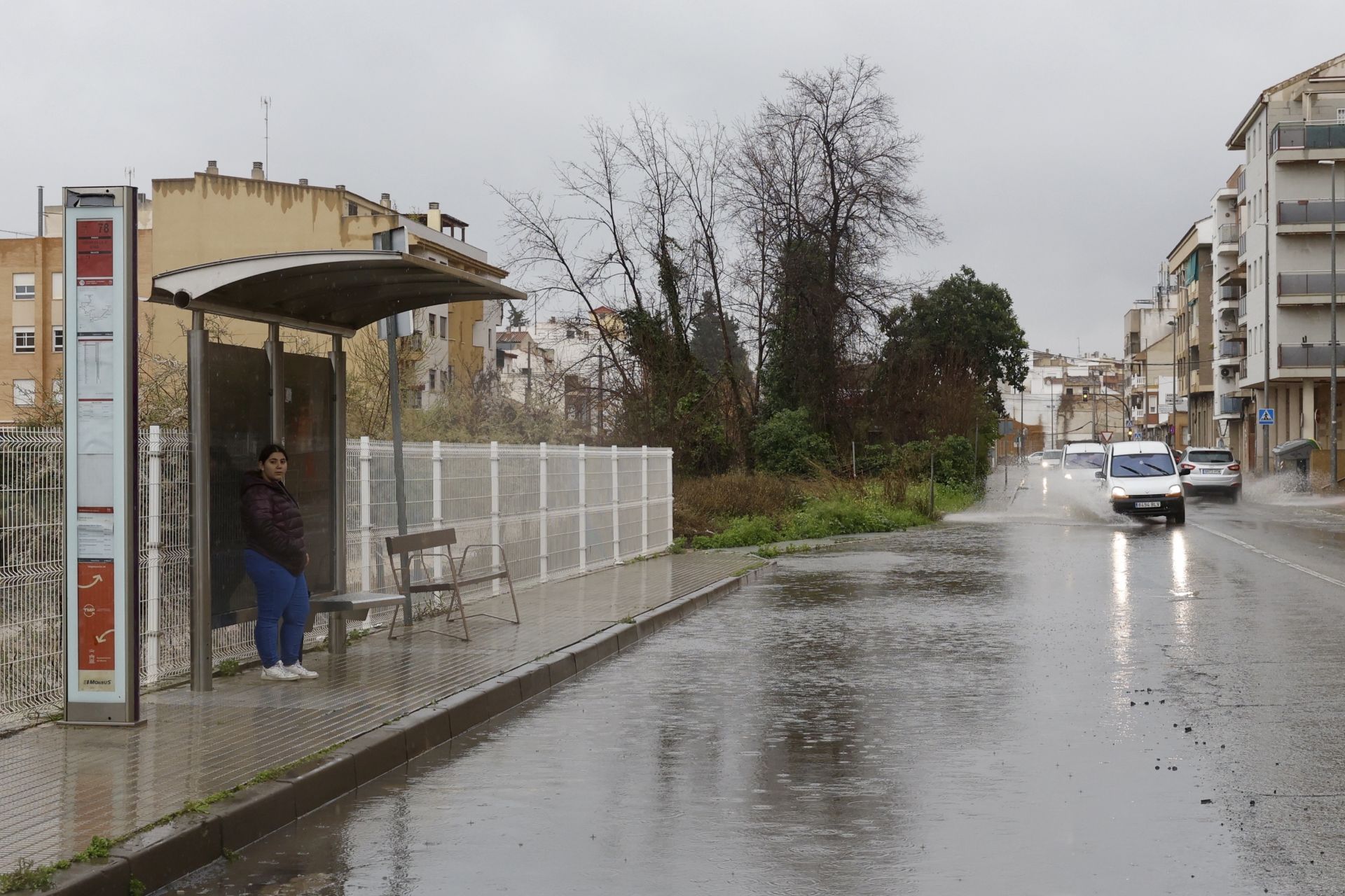 Los efectos del temporal de lluvia en la Región de Murcia, en imágenes