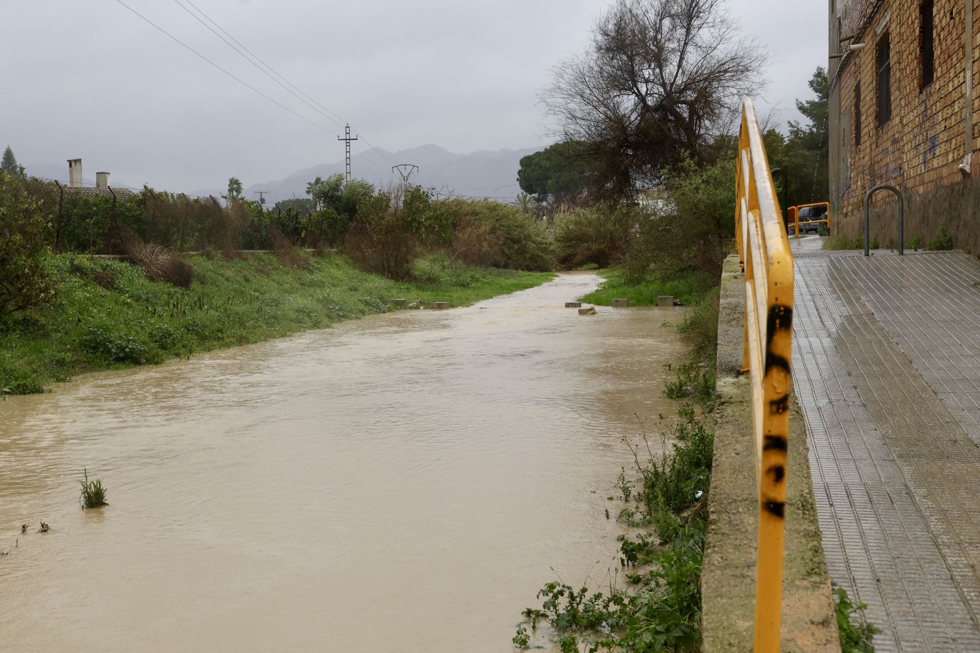 Los efectos del temporal de lluvia en la Región de Murcia, en imágenes