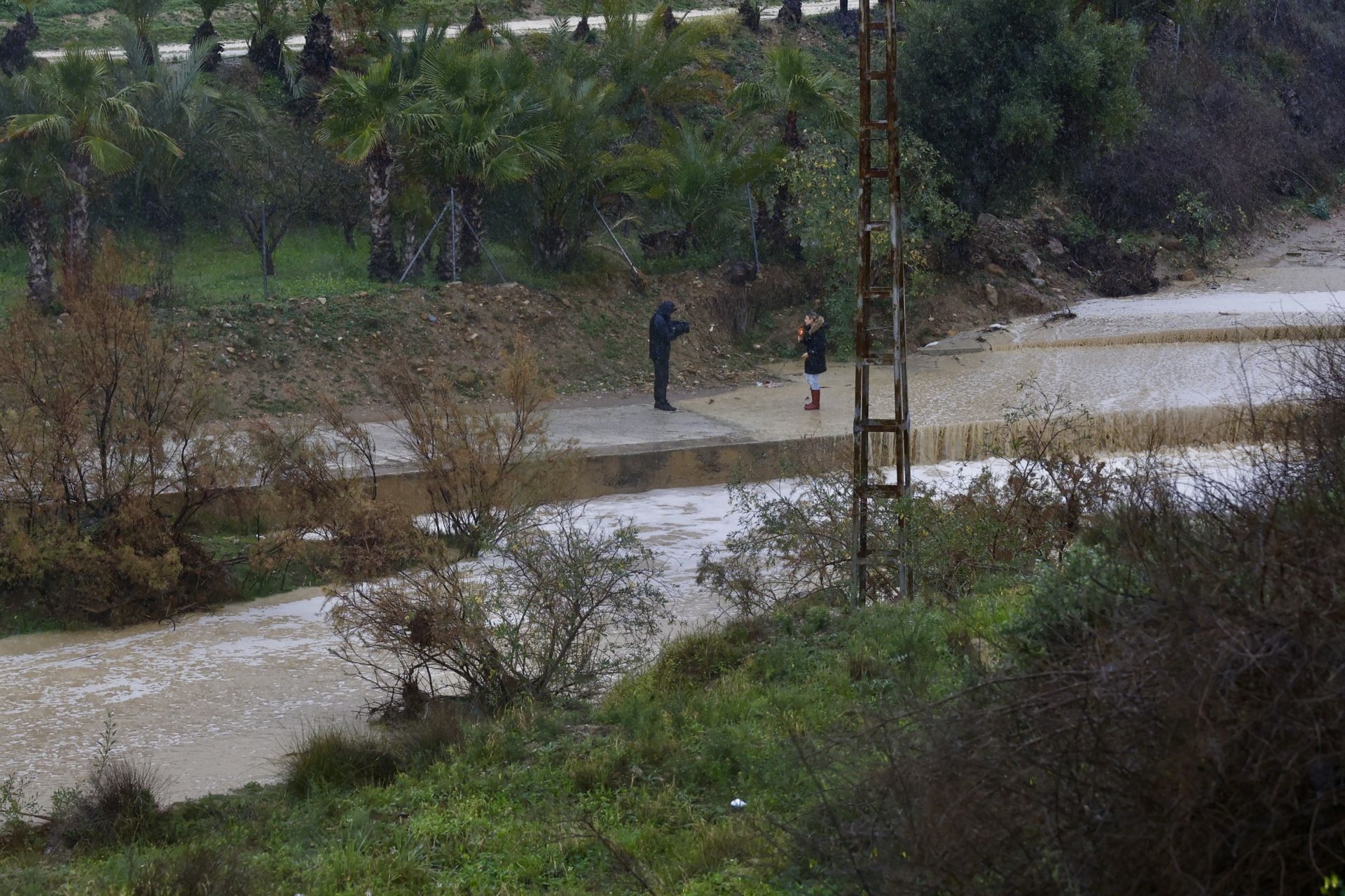 Los efectos del temporal de lluvia en la Región de Murcia, en imágenes