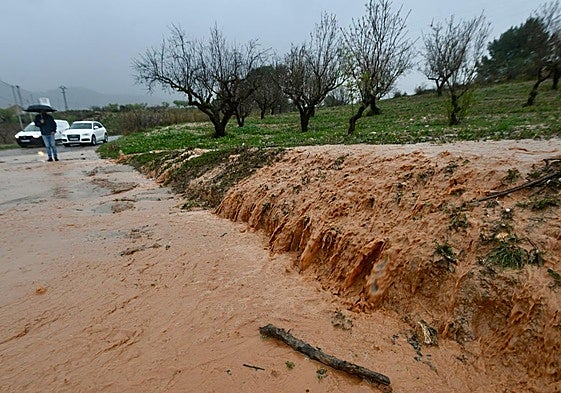 Una carretera de Casas Nuevas, pedanía de Mula, este miércoles.